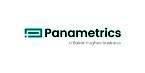 PANAMETRICS